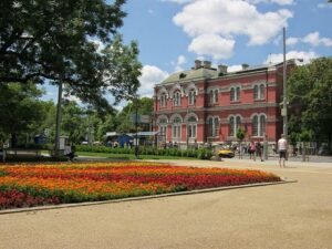 Национална художествена академия