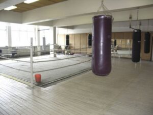 Национална спортна академия "Васил Левски"