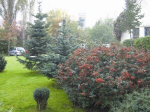 Лесотехнически университет – София