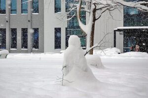 Медицински университет – Пловдив