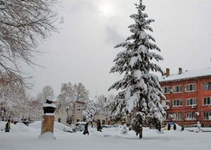 Медицински университет – Пловдив