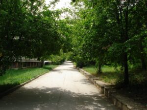 Технически университет – Варна