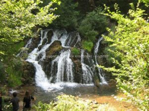 ОДК – Бургас