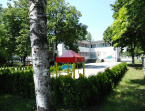 12 СДЯ Бебеландия