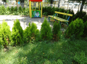 12 СДЯ Бебеландия