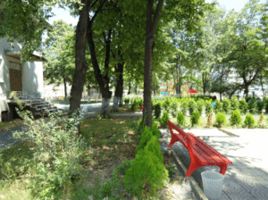 12 СДЯ Бебеландия