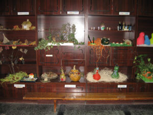 ЦДГ Щастливо детство- Дулово