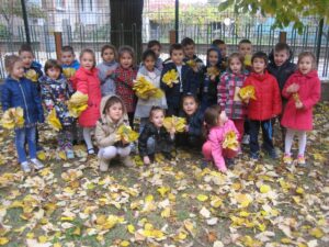 ДГ Мир гр. Дулово