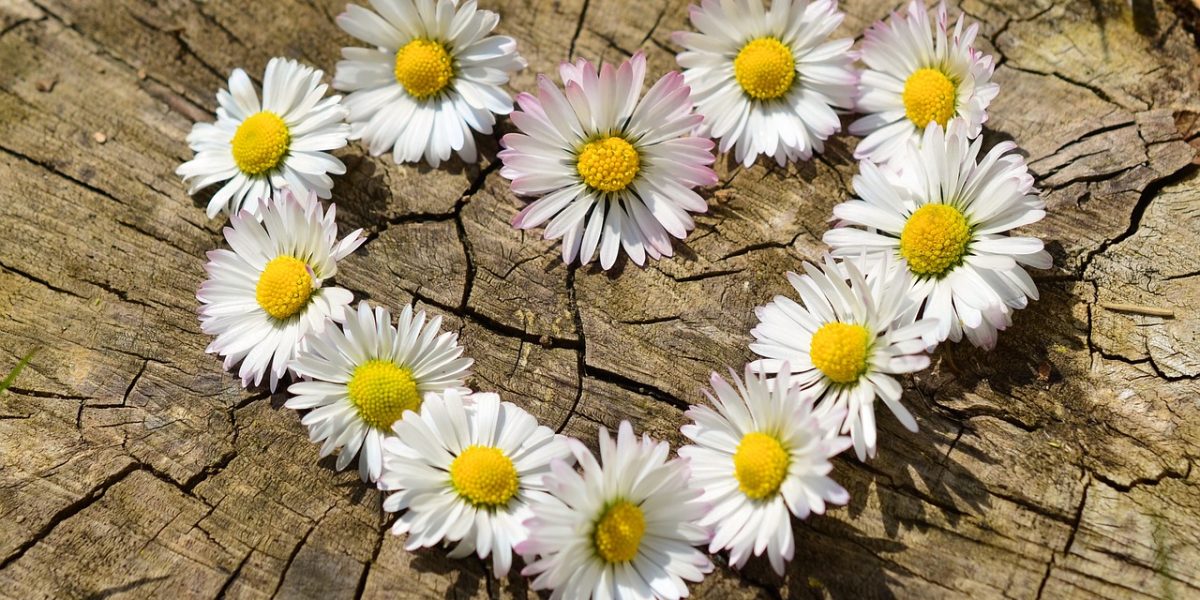 Стихотворения за пролетта